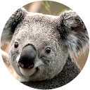 Marianuka la cuca profile picture